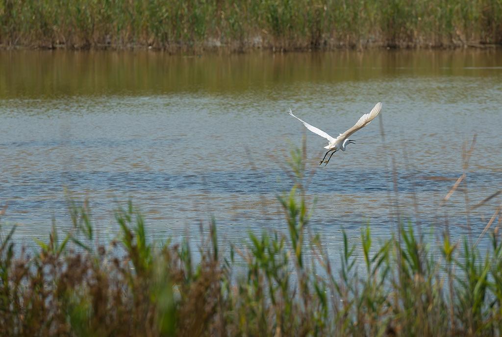 Valgrande Bibione Casone Villa ภายนอก รูปภาพ